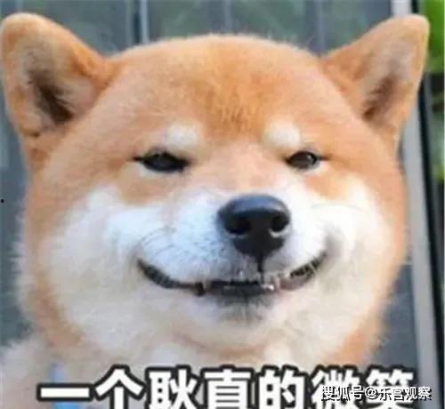 娱乐圈吃瓜小狗,揭秘明星背后的秘密与真相