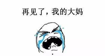 娱乐吃瓜酱都说了还得看亲妈,娱乐圈风云再起，豪门恩怨与明星私生活大揭秘