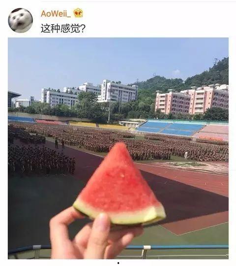 学姐吃瓜娱乐,娱乐圈幕后趣闻大揭秘