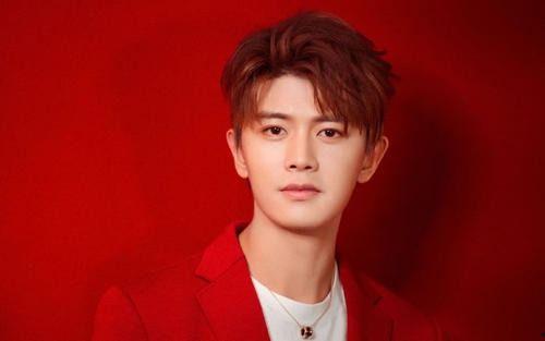 娱乐吃瓜丫任嘉伦,娱乐圈风云中的璀璨星辰