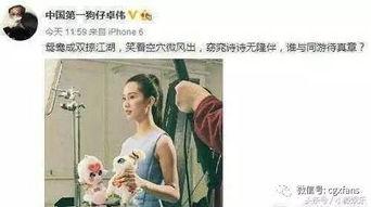 吃瓜娱乐刘诗诗,娱乐圈光影交错的璀璨星辰