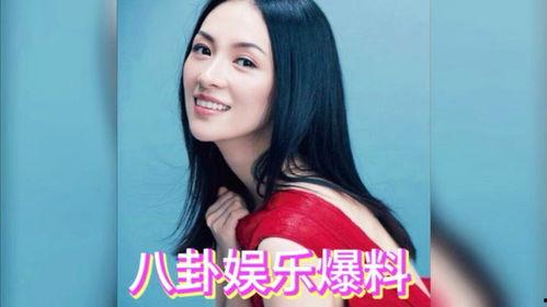 刺猬明星娱乐网吃瓜,娱乐圈最新吃瓜大事件！