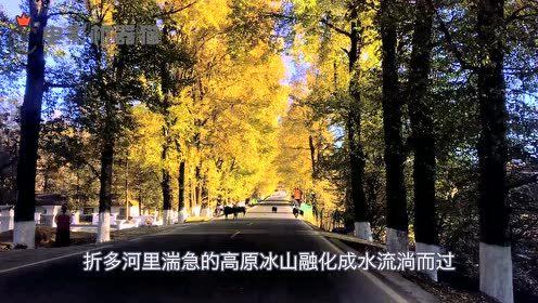 娱乐吃瓜君豪宅,揭秘明星豪宅背后的故事