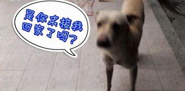 每天看娱乐吃瓜的说说,跟随热点，畅享娱乐圈风云变幻