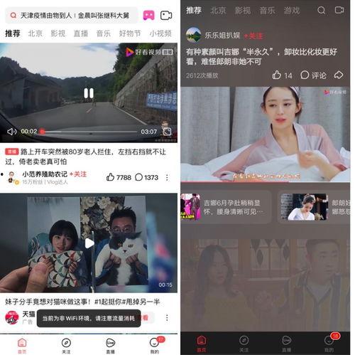 娱乐吃瓜酱广告视频下载,揭秘网红美食背后的秘密