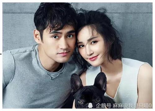 明星爆料娱乐吃瓜君,娱乐圈幕后真相大揭秘!